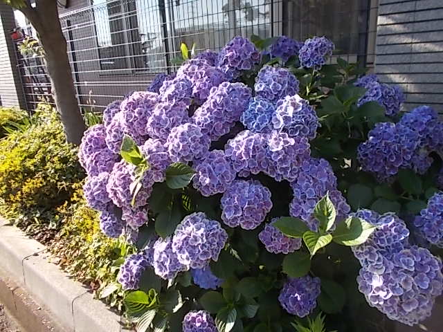 DSCN8440.jpg